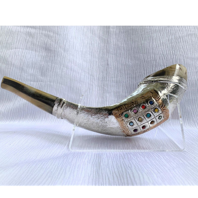 12 Tribes silver plated rams' ram horn shofar kosher 14"-15" + free stand