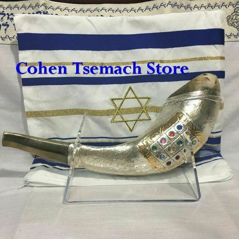 12 Tribes silver plated rams' ram horn shofar kosher 14"-15" + free stand