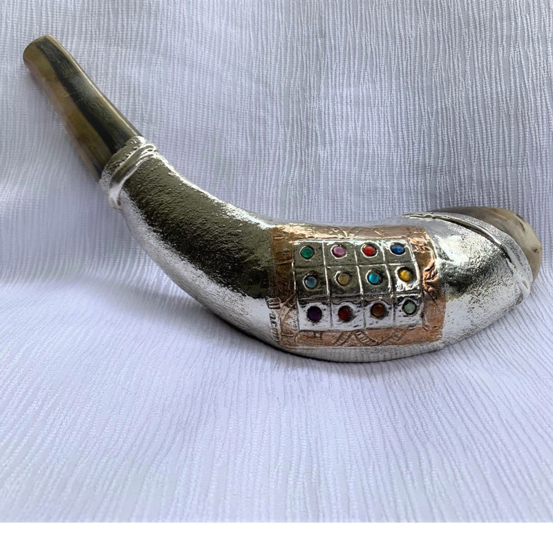 12 Tribes silver plated rams' ram horn shofar kosher 14"-15" + free stand