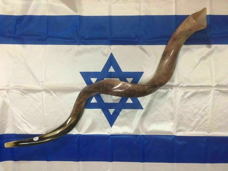 Kudu Yemenite HORN SHOFAR Kosher full Polished approx 45"-46"