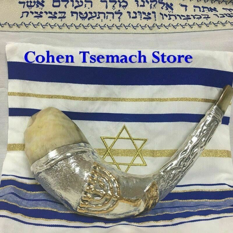 Silver Plated Rams Horn Shofar with Menorah Knesset  Stand