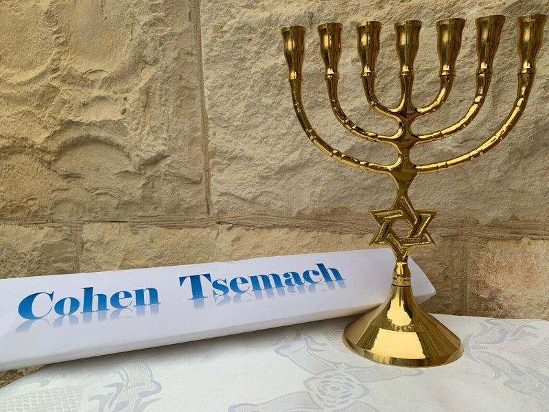 Israel Judaica Brass copper 8" Menorah candle holder with Jewish Star Of David