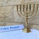 Brass Copper Holy Land Massive 11" Height Art Detailed Jerusalem Temple Menorah