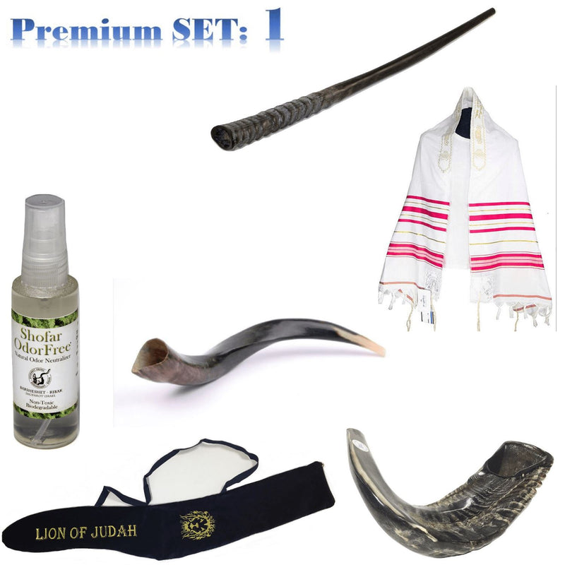 Amaizing Set Shofar Oryx ,Ram Horn,Kudu,Tallit Kosher ,Carrying Bag,+ Spray