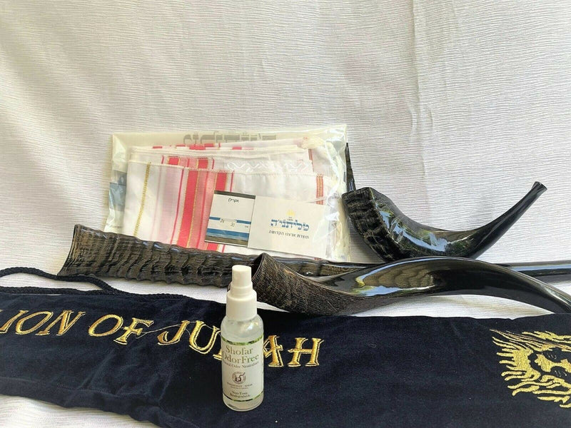 Amaizing Set Shofar Oryx ,Ram Horn,Kudu,Tallit Kosher ,Carrying Bag,+ Spray