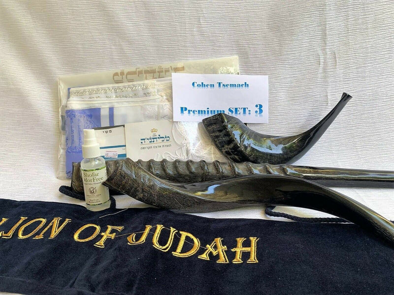 Set Shofar ,Oryx ,Ram Horn,Kudu,Tallit Messianic Kosher ,Carrying Bag+Spray