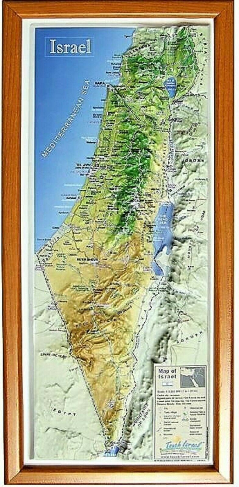 Amaizing Raised Relief 3D Map of Israel (MEDIUM: 15" x 6.8") Topographic map