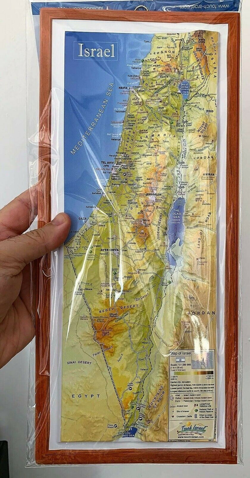 Amaizing Raised Relief 3D Map of Israel (MEDIUM: 15" x 6.8") Topographic map