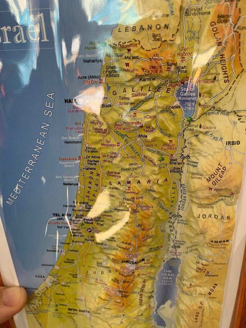 Amaizing Raised Relief 3D Map of Israel (MEDIUM: 15" x 6.8") Topographic map