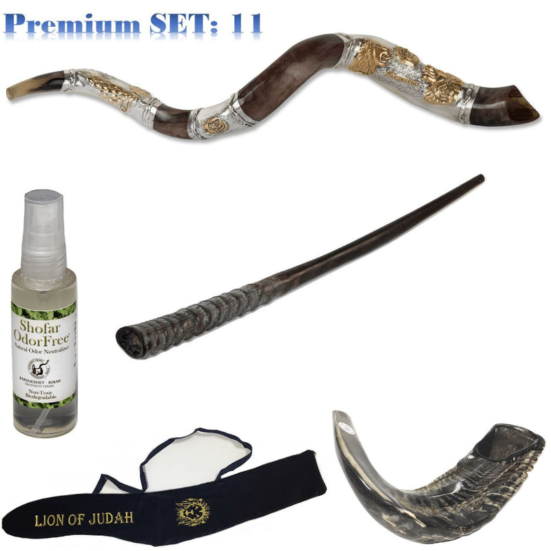 Amaizing Set Shofar,Big Oryx,Ram Horn,Kudu 45"Silver,Shofar Bag+Anti-odor Spray