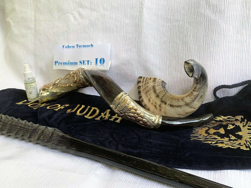 Amaizing Set Shofar,Big Oryx,Ram Horn,Kudu 24"Silver,Shofar Bag+Anti-odor Spray