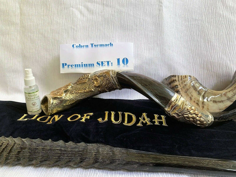 Amaizing Set Shofar,Big Oryx,Ram Horn,Kudu 24"Silver,Shofar Bag+Anti-odor Spray