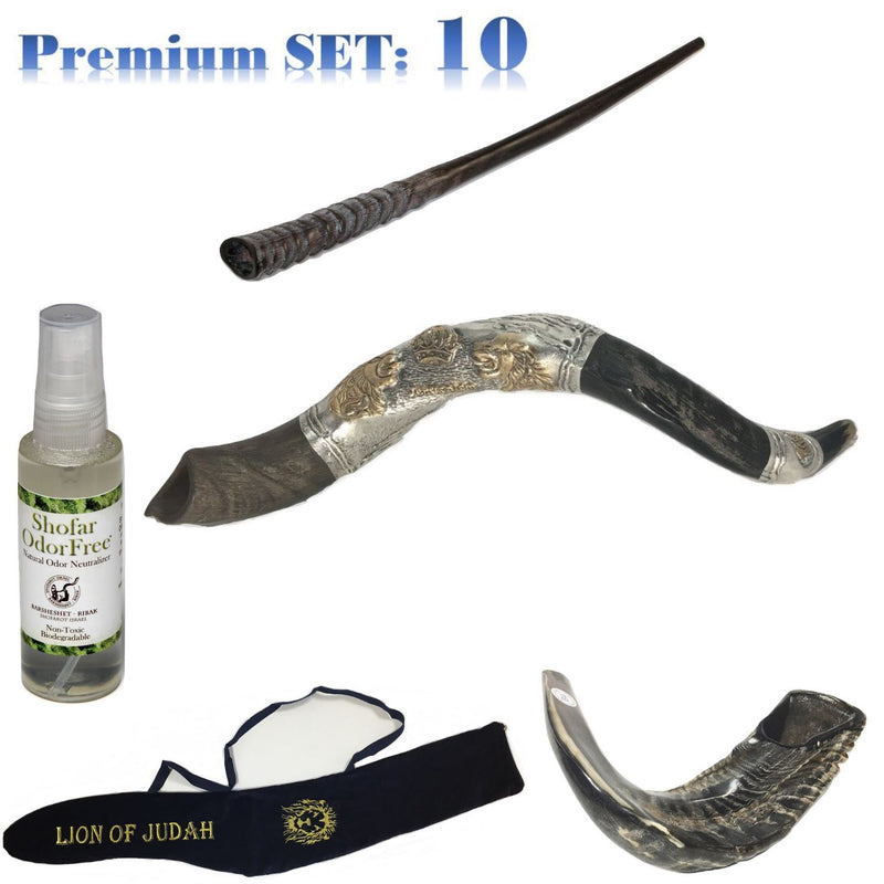 Amaizing Set Shofar,Big Oryx,Ram Horn,Kudu 24"Silver,Shofar Bag+Anti-odor Spray