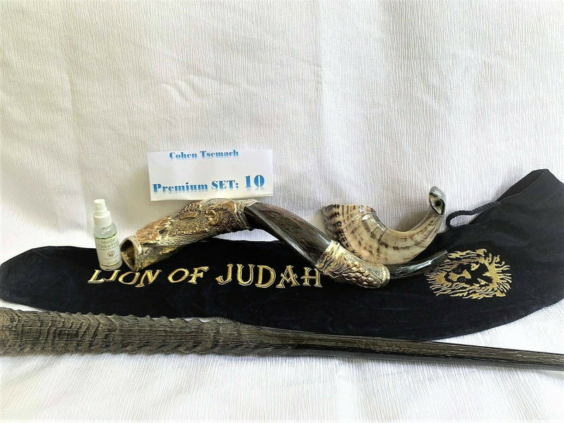 Amaizing Set Shofar,Big Oryx,Ram Horn,Kudu 24"Silver,Shofar Bag+Anti-odor Spray