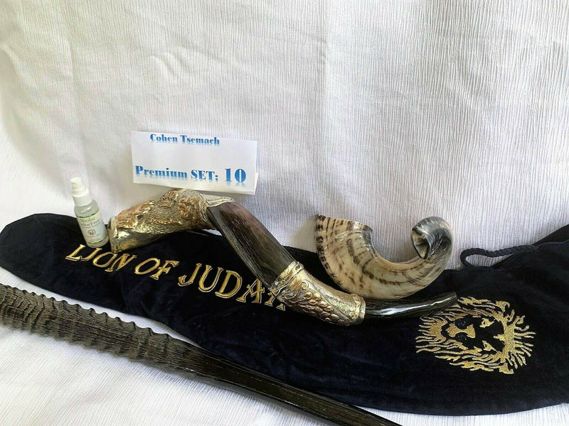 Amaizing Set Shofar,Big Oryx,Ram Horn,Kudu 24"Silver,Shofar Bag+Anti-odor Spray