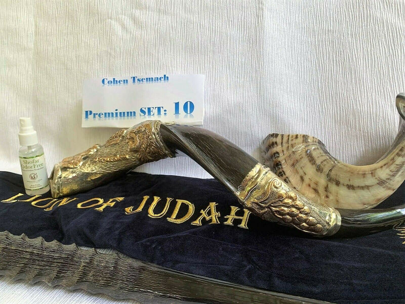 Amaizing Set Shofar,Big Oryx,Ram Horn,Kudu 24"Silver,Shofar Bag+Anti-odor Spray