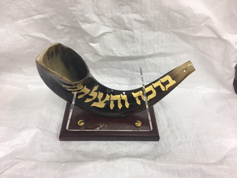 shofar 15"-17" ram horn shofar hand painted very special rabbi ovadia + stand