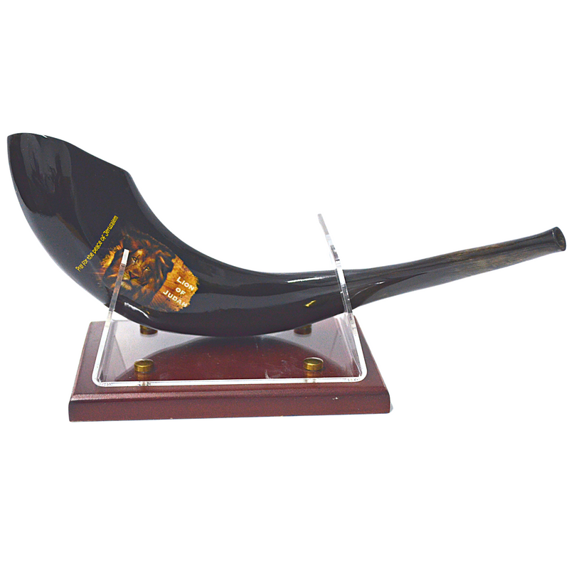 Amazing Ram Horn Shofar 15"-17" - Lion Of Judah Shofar pray for the peace of Jerusalem handmade from Holyland