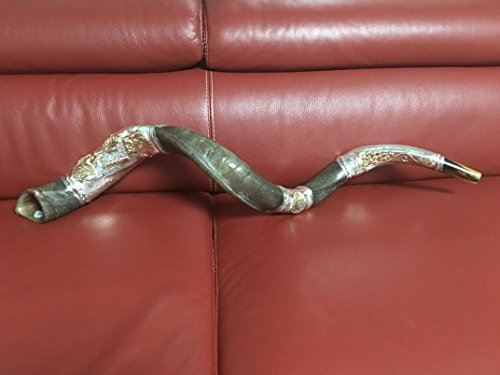 Amazing Silver - plated 44"- 45" Yemenite Horn Shofar Kudu Lion