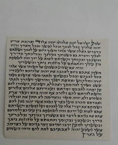 Mezuzah Scroll from Israel 100% Kosher with Certificate 4"