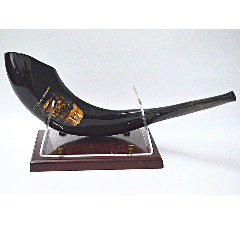 Amazing Ram Horn Shofar 15"-17" - Lion Of Judah Shofar pray for the peace of Jerusalem handmade from Holyland