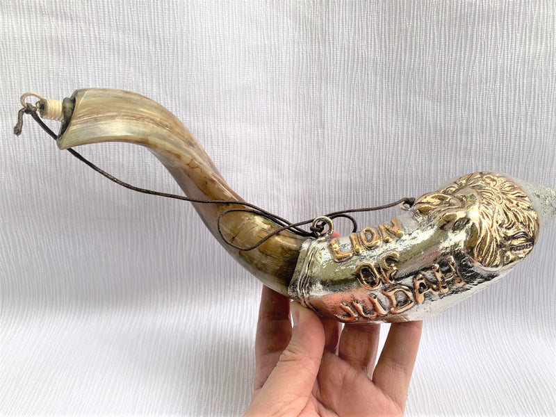 Sale silver ram shofar 11"-13" Messianic Lion of Judah