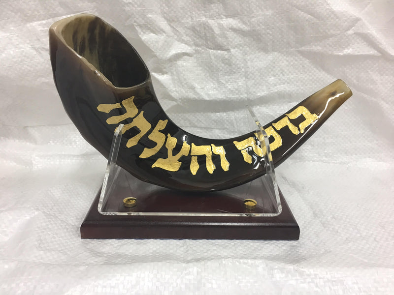 shofar 15"-17" ram horn shofar hand painted very special rabbi ovadia + stand