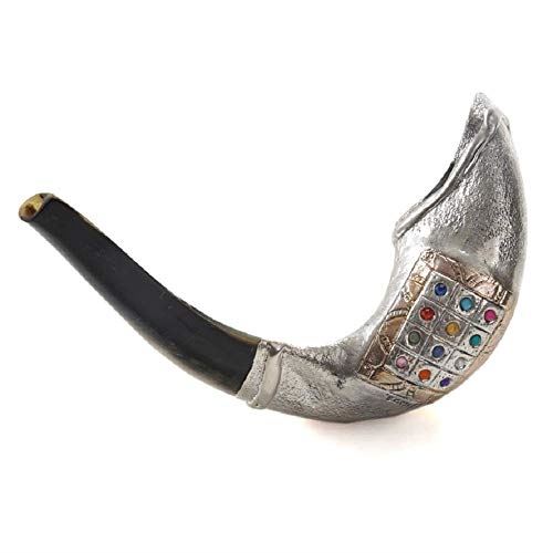 12 Tribes silver plated rams' ram horn shofar kosher 14"-15" + free stand