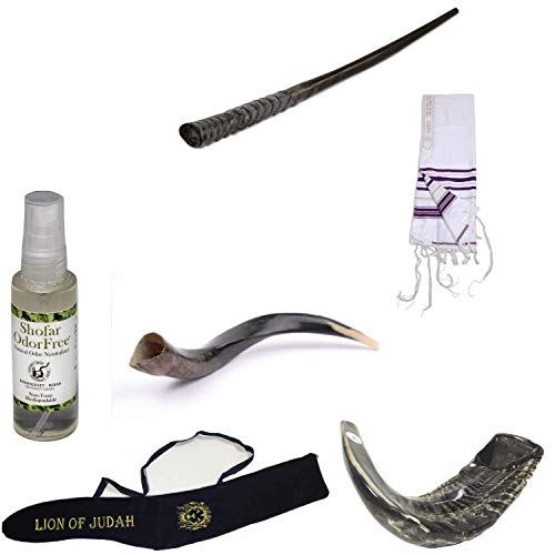 Amaizing Set Shofar Oryx,Ram Horn,Kudu,Tallit purple Kosher,Carrying Bag,+ Spray