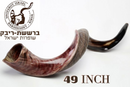Jumbo Huge 49" Kudu Yemenite Horn Shofar Kosher Helf Polished