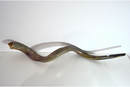 Jumbo Huge 49" Kudu Yemenite Horn Shofar Kosher Helf Polished