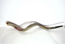 Jumbo Huge 49" Kudu Yemenite Horn Shofar Kosher Helf Polished