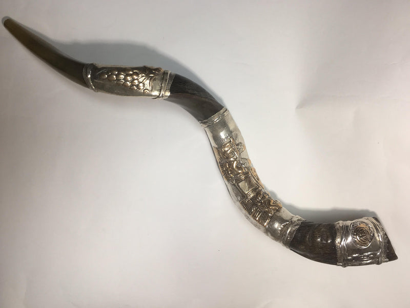 shofar kudu amazing silver-plated 34"-36" yemenite horn ark of the covenant new