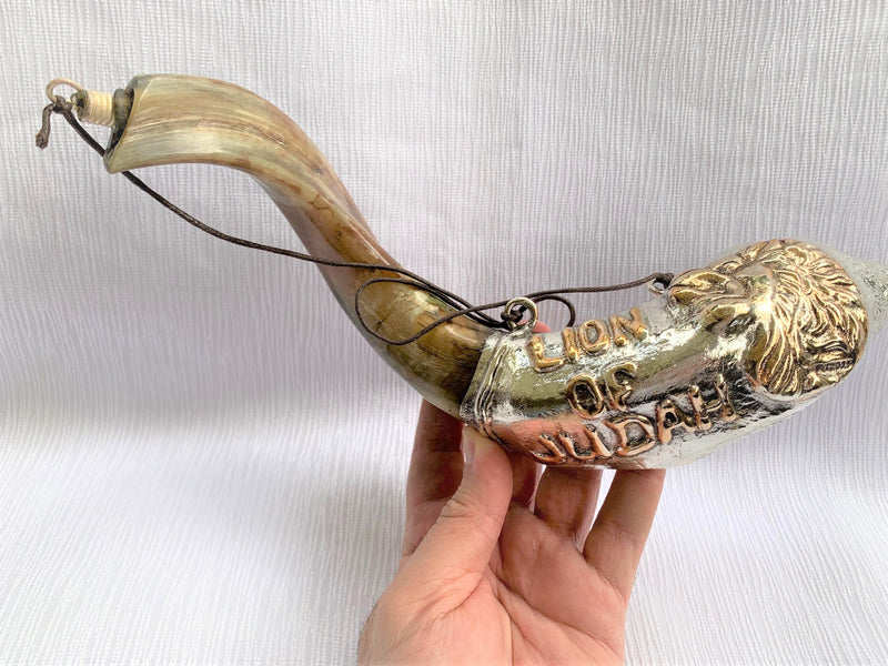 Sale silver ram shofar 11"-13" Messianic Lion of Judah