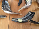 SHOFAR Ram Horn ISRAEL 10"-13" Kosher Natural NEW