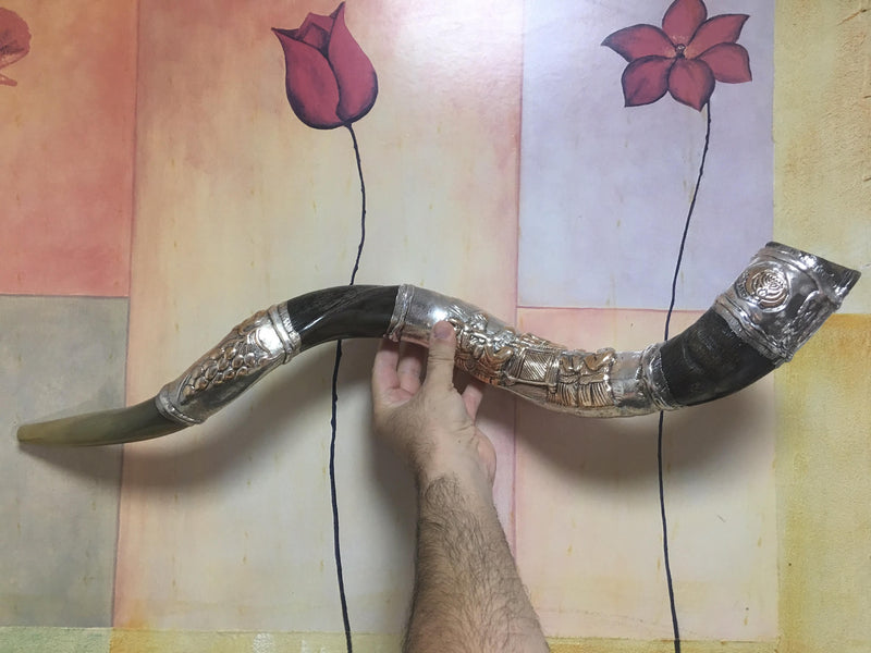 shofar kudu amazing silver-plated 34"-36" yemenite horn ark of the covenant new