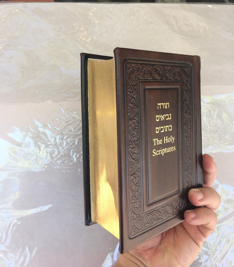 6 Torah Scroll Jewish Hebrew Bible Five Books of Moses Israel Pentateuch  Humash
