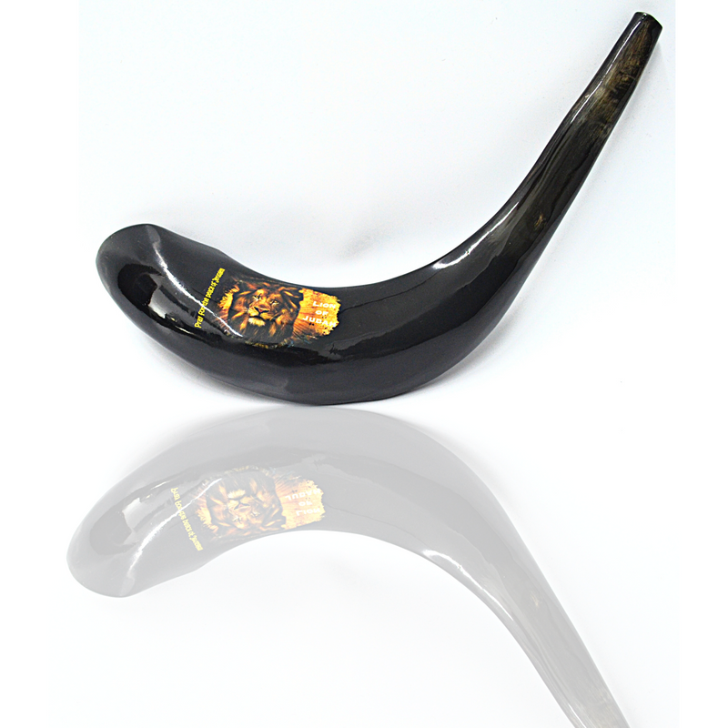 Amazing Ram Horn Shofar 15"-17" - Lion Of Judah Shofar pray for the peace of Jerusalem handmade from Holyland