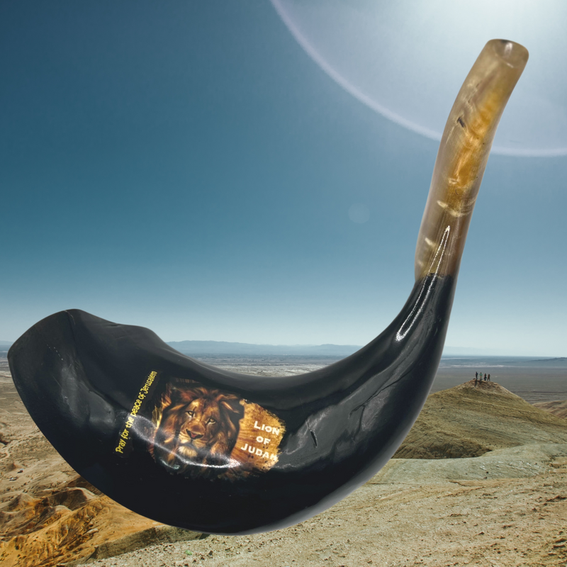 Amazing Ram Horn Shofar 15"-17" - Lion Of Judah Shofar pray for the peace of Jerusalem handmade from Holyland