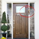 Amazing Stainless Steel Pomegranates Mezuzah case by emanuel 4 inches