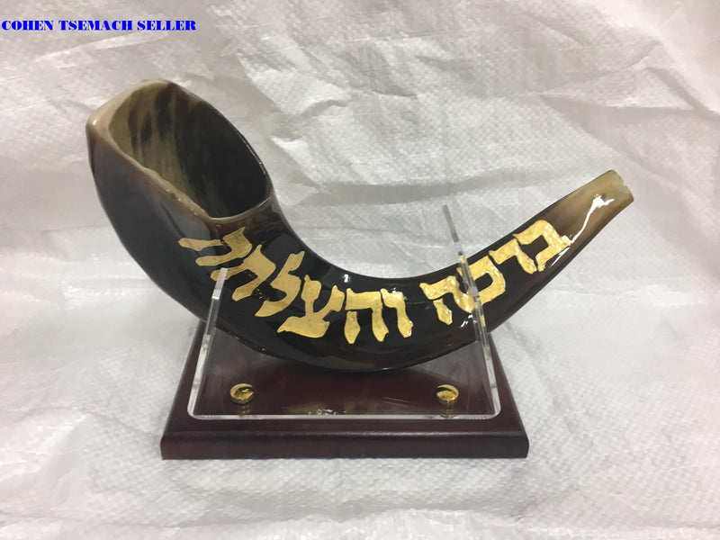 shofar 15"-17" ram horn shofar hand painted Chabad- rabbi Lubavitch+ stand