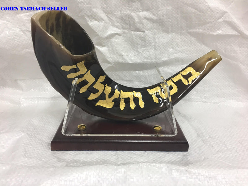 shofar 15"-17" ram horn shofar hand painted Chabad- rabbi Lubavitch+ stand