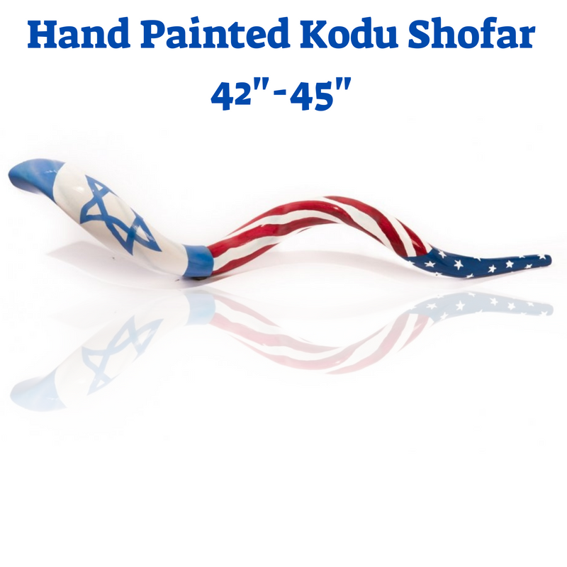 Hand Painted Yemenite kudu Shofar with United States - Israel Flag