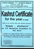 Hand Painted Yemenite kudu Shofar with United States - Israel Flag