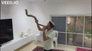 Jumbo Huge 49" Kudu Yemenite Horn Shofar Kosher Helf Polished